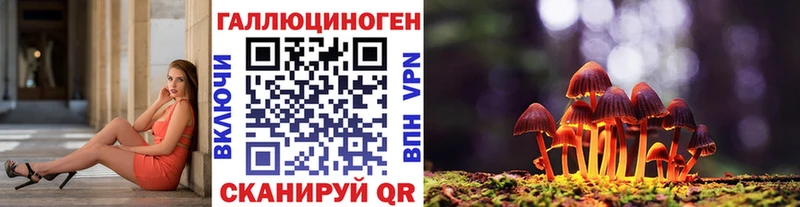 MEGA tor  Анапа  Галлюциногенные грибы Magic Shrooms  закладки 