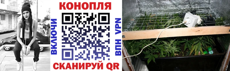 omg вход  Анапа  Конопля LSD WEED 